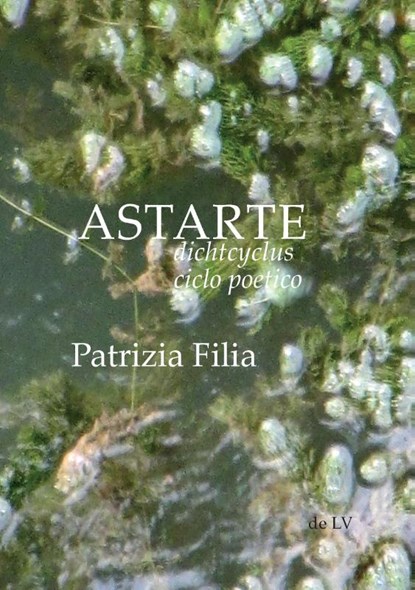 ASTARTE, Patrizia Filia - Paperback - 9789082623246
