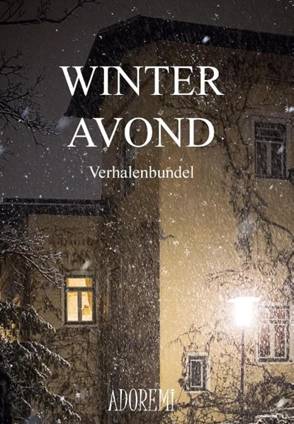 Winteravond, Diverse - Paperback - 9789082646085