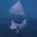Voyage 31, Wouter Bessels - Gebonden - 9789082689327