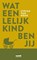Wat een lelijk kind ben jij, Stefan van Hoek - Paperback - 9789082723137