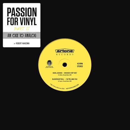 Passion for vinyl Part II An Ode to Analogue, Robert Haagsma - Gebonden - 9789082783902