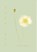 Tere min, Dietske Geerlings - Paperback - 9789082955385