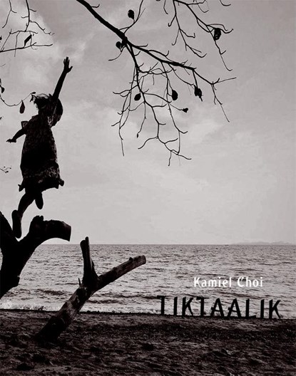 Tiktaalik, Kamiel Choi - Paperback - 9789083011974