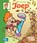 Joep Altijd raak!, Michiel Van de Vijver - Gebonden Gebonden - 9789083018683