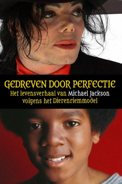 Gedreven door perfectie, Jeroen Visbeek - Paperback - 9789083025896