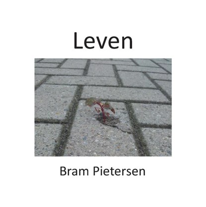 Leven, Bram Pietersen - Gebonden - 9789083037493