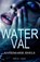 Waterval, Annemarie Snels - Paperback - 9789083042404
