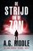 De strijd om de zon, A.G. Riddle - Paperback - 9789083073118