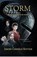 Storm, Jeroen Cornelis Rottier - Paperback - 9789083081625