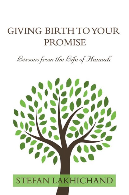 Giving Birth to your Promise, Stefan Lakhichand - Paperback - 9789083083308