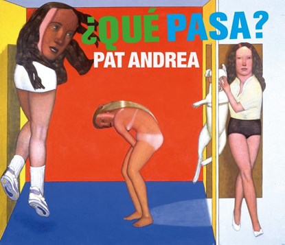 Pat Andrea, Feico Hoekstra ; Ype Koopmans - Paperback - 9789083098821