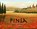 Pinsa, J. Dickens - Paperback - 9789083101477