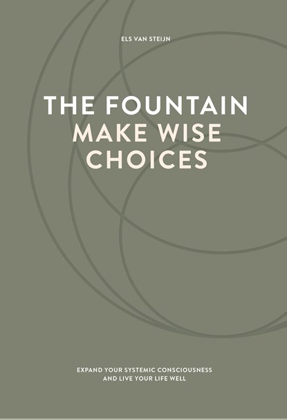 The fountain, make wise choices, Els van Steijn - Ebook - 9789083104171
