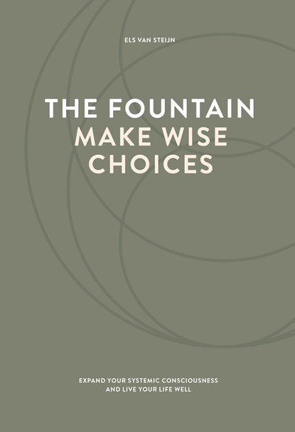 The fountain, make wise choices, Els van Steijn - Ebook - 9789083104171
