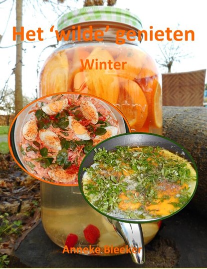 Het ´wilde´genieten - Winter, Anneke Bleeker - Paperback - 9789083106182