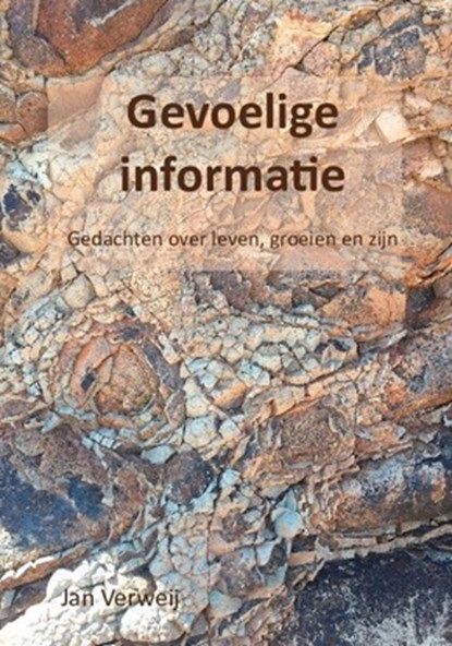 Gevoelige informatie, Jan Verweij - Paperback - 9789083110400
