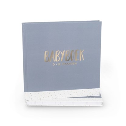 Babyboek 0-12 maanden, Carola Langeveld - Gebonden - 9789083142821