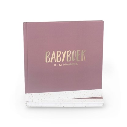 Babyboek 0-12 maanden, Carola Langeveld - Gebonden - 9789083142845