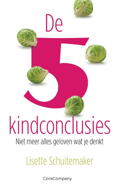 De 5 kindconclusies, Lisette Schuitemaker - Paperback - 9789083143040