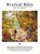 Mystical Miles, niet bekend - Paperback - 9789083147666