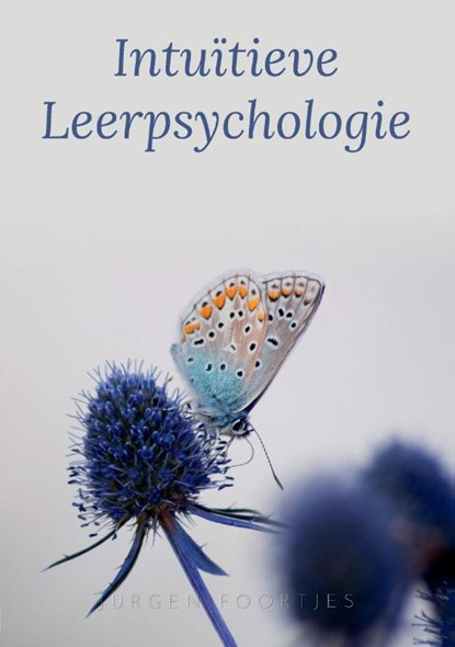 Intuïtieve Leerpsychologie, Jurgen Foortjes - Paperback - 9789083153216