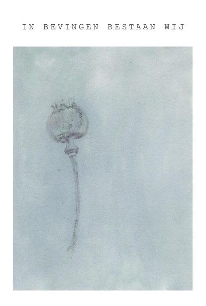 In bevingen bestaan wij, Dietske Geerlings - Paperback - 9789083181356