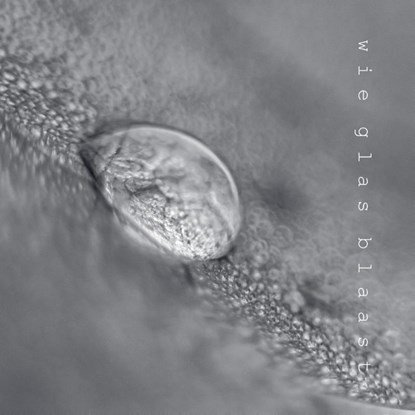 wie glas blaast, Dietske Geerlings - Paperback - 9789083181370