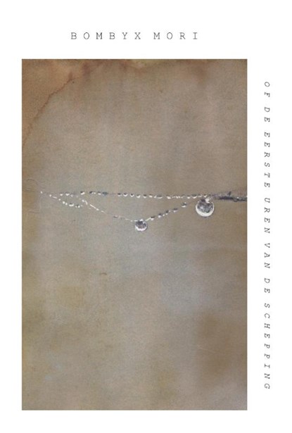 Bombyx mori, Dietske Geerlings - Paperback - 9789083181387