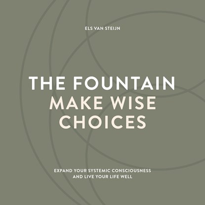 The fountain, make wise choices, Els van Steijn - Luisterboek MP3 - 9789083183619