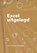 Excel uitgelegd, Matheas Manssen - Paperback - 9789083185927