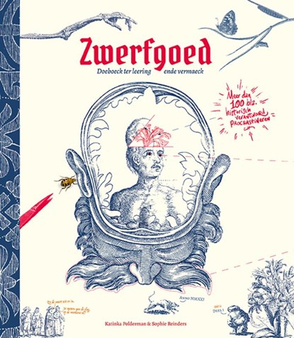 Zwerfgoed, Katinka Polderman ; Sophie Reinders - Paperback - 9789083190020