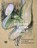 Kiezen voor wat van waarde is, Frederike de Jong - Paperback - 9789083214375