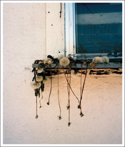 Stick Holding Branch, Wytske van Keulen - Paperback - 9789083225128