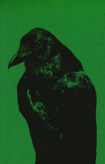 Flipping the Bird, Jaap Scheeren ; Rik van den Bos - Paperback - 9789083225135