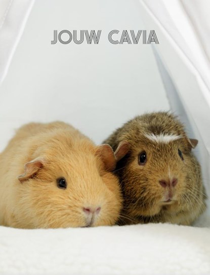 Jouw Cavia, Jeroen van Dongen - Gebonden - 9789083239446