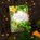 Ubuntopia Year Calendar, Ubuntopia - Paperback - 9789083287706