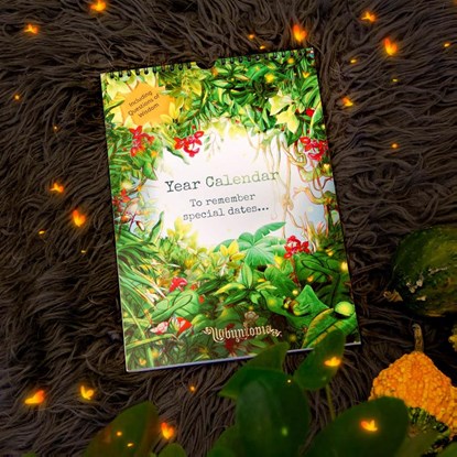 Ubuntopia Year Calendar, Ubuntopia - Paperback - 9789083287706