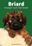 Briard, Sandra Lakebrink - Paperback - 9789083291116