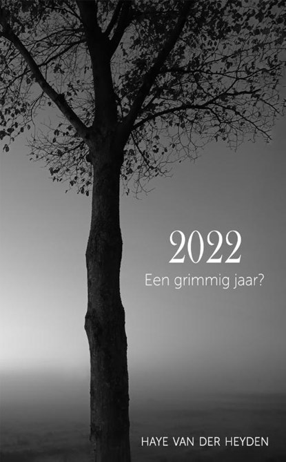 2022. Een grimmig jaar?, Haye van der Heyden - Paperback - 9789083291352
