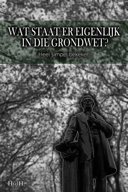 Wat staat er eigenlijk in die grondwet?, Haye Van der Heyden - Paperback - 9789083310213