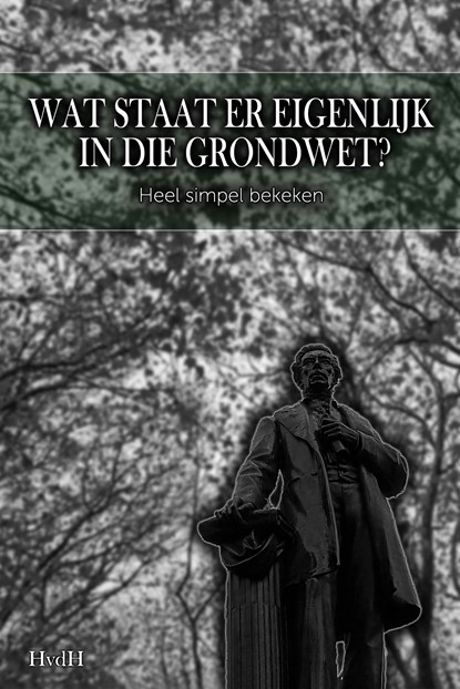 Wat staat er eigenlijk in die grondwet?, Haye Van der Heyden - Ebook - 9789083310220