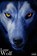 Lone wolf, Sjoerd Zuidzee - Paperback - 9789083356365