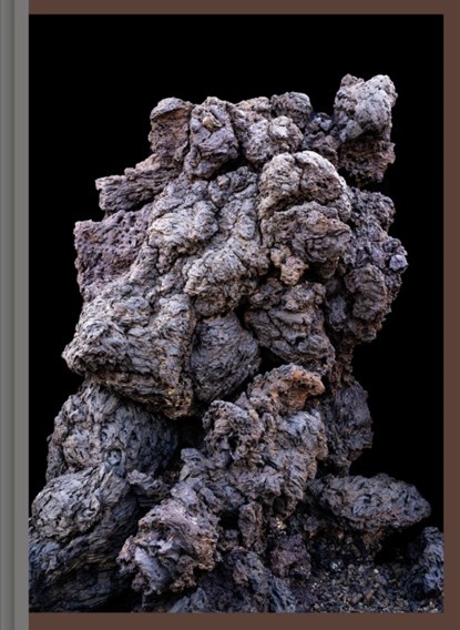 Imaginary Ecologies, Martin Tscholl - Gebonden - 9789083357157