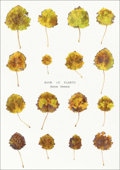 Book of Plants, Anne Geene - Paperback - 9789083359632