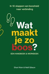 Wat maakt je zo boos? - Neill Gibson ; Shari Klein - 9789083397078