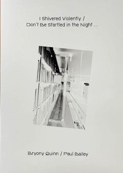I Shivered Violently / Don’t be Startled in the Night, Bryony Quinn ; Paul Bailey - Paperback - 9789083404127