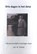 Drie dagen in het dorp, Lev N. Tolstoj - Paperback - 9789083411835