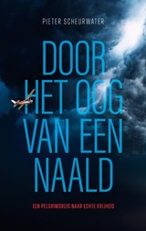 Door het oog van een naald - Pieter Scheurwater - 9789083439419