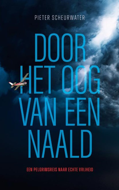 Door het oog van een naald, Pieter Scheurwater - Paperback - 9789083439419