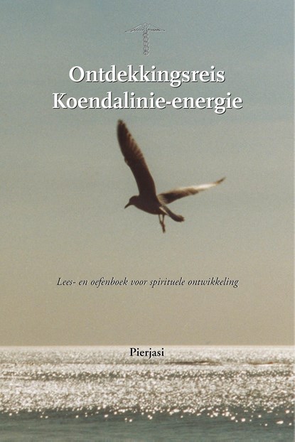 Ontdekkingsreis Koendalinie-energie, Pierjasi - Ebook - 9789083445236